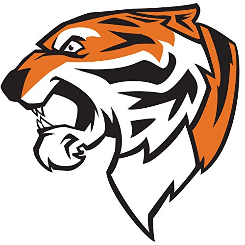 Anderson's 25-Piece Tiger Head Body Decal Set, Tattoos, Cheek Cheers, Fan Gear, Sports Fan Gear,School Spirit, Football Cheerleader Accessories, Homecoming