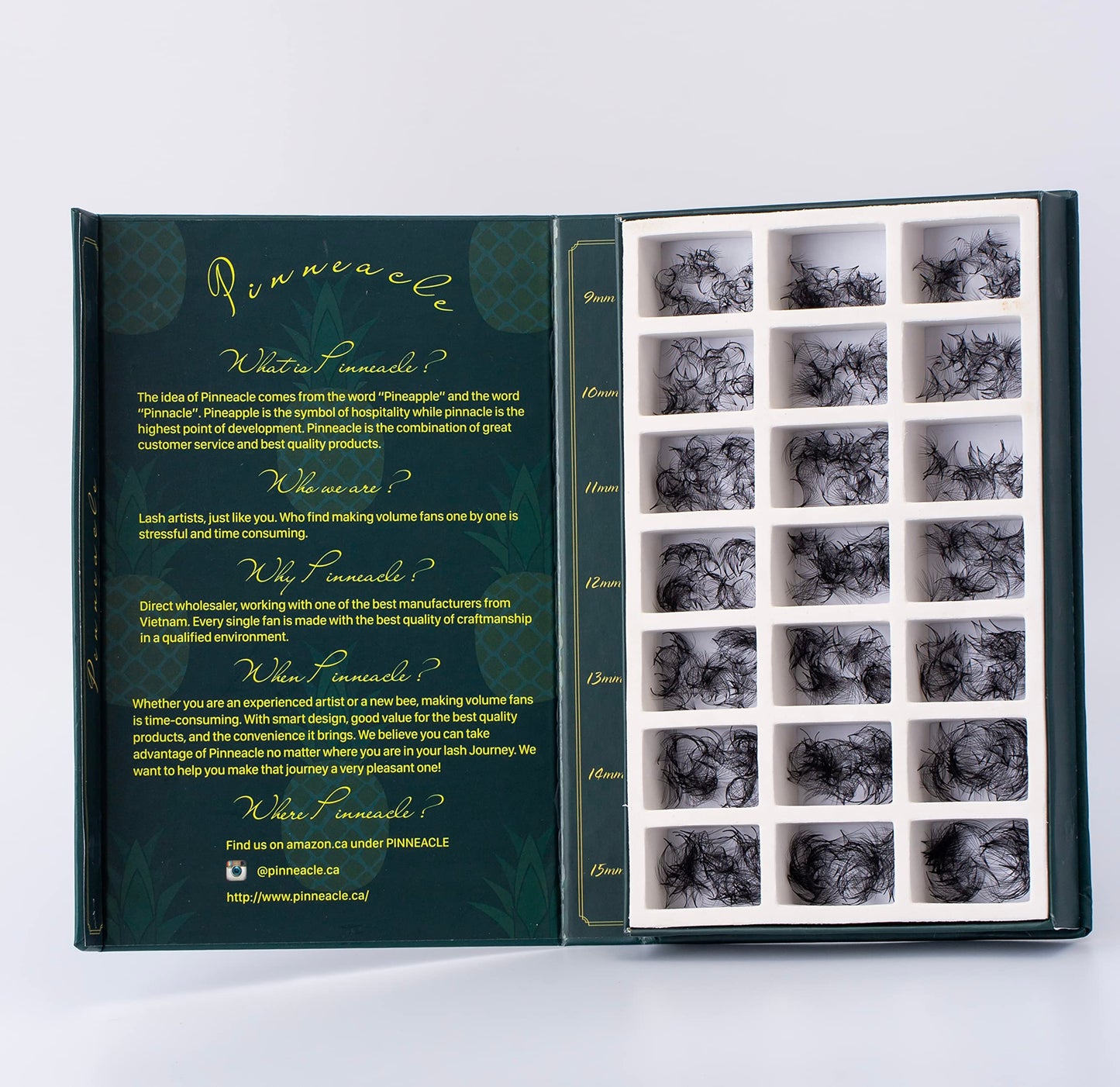 2100 Promade Volume Fans for Professional Eyelash Extensions | 21 in 1 Box | Includes C, CC & D curls in 9-10-11-12-13-14-15mm | Compact lash training kit for beginner lash artists